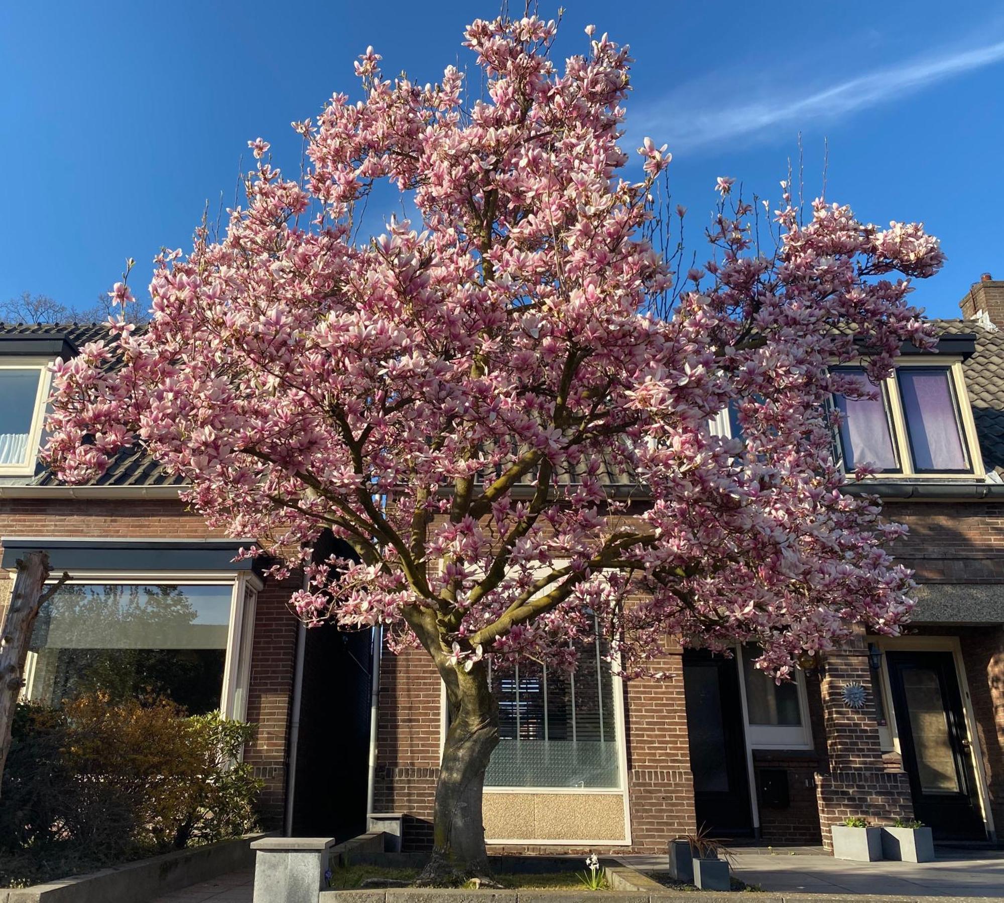 Sfeervol Verblijf Nabij Centrum Almelo Extérieur photo